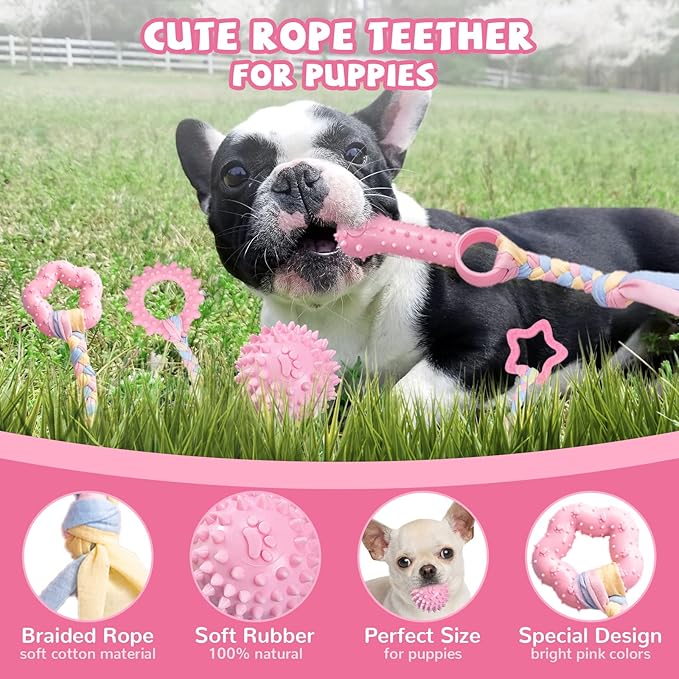 6 Pack Puppy Teething Toys Cute Pink Puppy Chew Toys for Teething Small Breed Dog Chew Toy Interactive Pet Toy Set for Puppies to Keep Them Busy Soft Durable Small Breed Doggy Chewing Ball