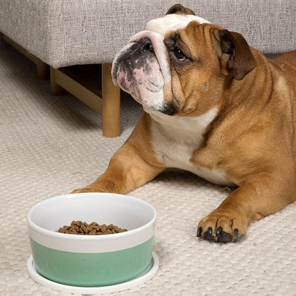 Waggo Dipper Ceramic Dog Bowl for Small and Large Breeds - Heavyweight and Durable Pet Food and Water Dish Crock, Dishwasher Safe, Modern (Mint, Medium)