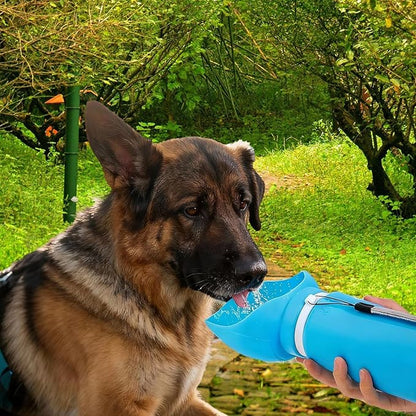 Portable Collapsible Dog Water Bottle - 550ml, Large Wide-Mouth Drinking Bowl, Ideal for Small and Large Dogs on Walks and Outdoor Activities (Blue)