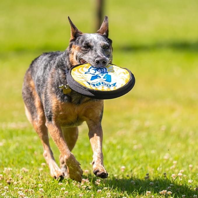 ZooBee Flying Disc Dog Toy – Dog Vision Friendly Colors – Soft & Durable Toss Disc for Indoor & Outdoor Play, Water Fetch & Pool Fun – Safe on Teeth – Floating Dog Toy – Lightweight & Easy to Throw