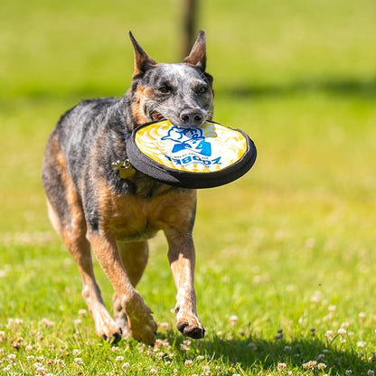 ZooBee Flying Disc Dog Toy – Dog Vision Friendly Colors – Soft & Durable Toss Disc for Indoor & Outdoor Play, Water Fetch & Pool Fun – Safe on Teeth – Floating Dog Toy – Lightweight & Easy to Throw