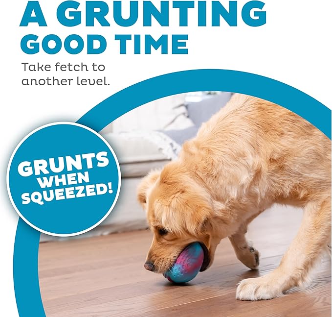 Outward Hound Grunt N' Punt Football Dog Toy - Throwing, Fetching Fun