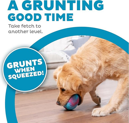 Outward Hound Grunt N' Punt Football Dog Toy - Throwing, Fetching Fun