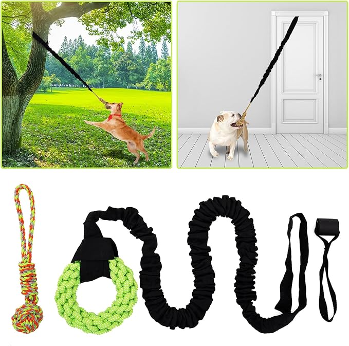 Dog Rope Toys Set with Door Anchor, Interactive Bungee Tug Toy for Indoor and Outdoor Play, Black and Green