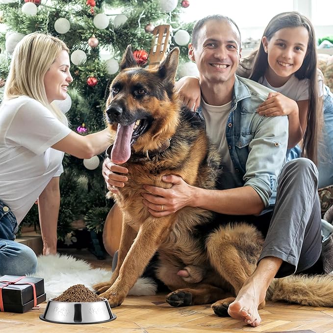 Tanlade 8 Pack Stainless Steel Dog Bowls Metal with Rubber Base Non-Slip Pets Puppy Cats Feeding Food and Water Bowls Dishwasher-Safe for Indoor Small Medium Large Dogs Cats Kitten Rabbit(10.1 oz)