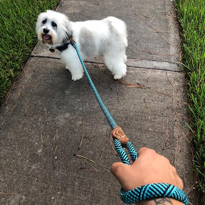 Mile High Life Rope Leash with Genuine Leather Connection, 6 FT/5 FT/4 FT, Heavy Duty Leash for Medium & Large Dogs (Turquoise Green, 72 Inch)