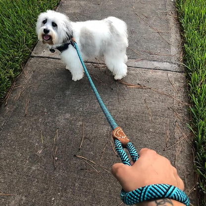Mile High Life Rope Leash with Genuine Leather Connection, 6 FT/5 FT/4 FT, Heavy Duty Leash for Medium & Large Dogs (Turquoise Green, 72 Inch)