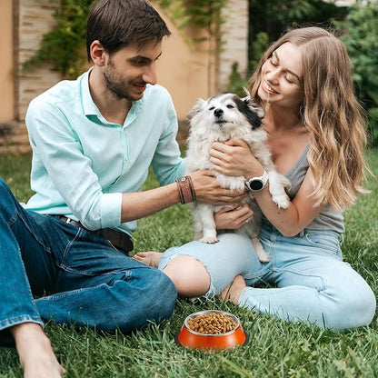 Roshtia 6 Pcs 7 oz Colorful Stainless Steel Dog Bowl Stackable Water and Food Cat Bowl Pet Dishes with Non Slip Silicone Base for Small Medium Dog Cat Kitten