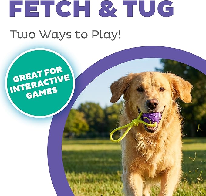 Outward Hound FlyFetch Ball Tug Dog Toy, Durable Rubber & Rope for Fetch and Tug-of-War, Lightweight, Floats, 9" x 3"