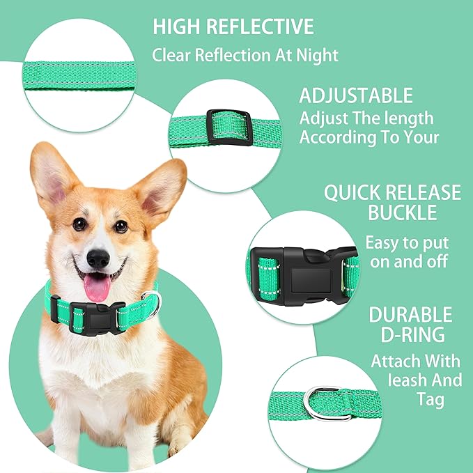 Reflective Dog Collar with Safety Locking Buckle, Adjustable Soft Breathable Nylon Collars for Small, Medium and Large Dogs(Collar+Leash S Width 5/8" Turquoise)
