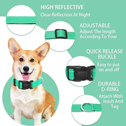 Reflective Dog Collar with Safety Locking Buckle, Adjustable Soft Breathable Nylon Collars for Small, Medium and Large Dogs(Collar+Leash S Width 5/8" Turquoise)
