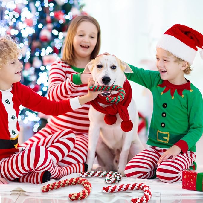 Liliful 24 Pieces Christmas Dog Rope Toys Candy Chew for Puppy Small Medium Large Chewing Teething Clean and Training