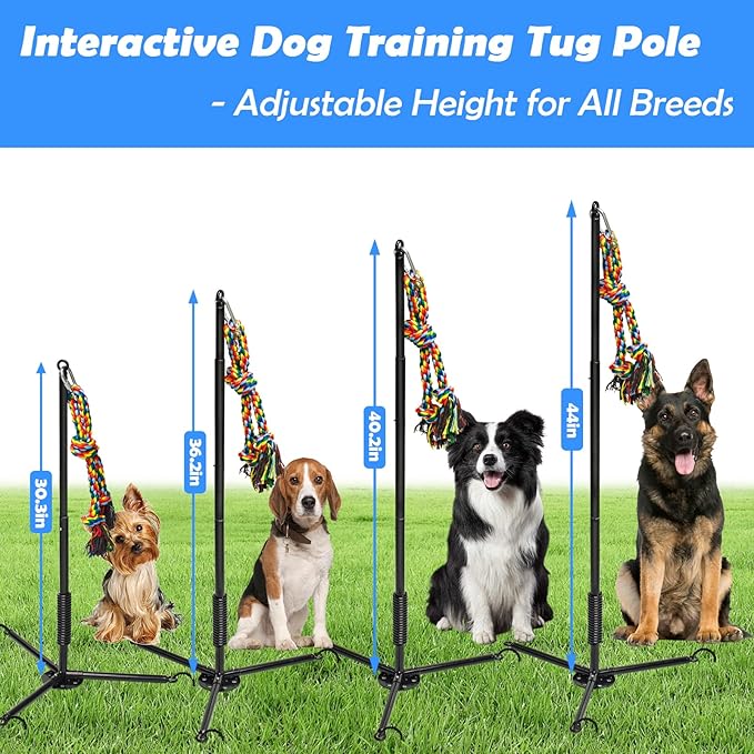 Tether Outdoor Dog Toy,Interactive Exercise Game in Yard Park Tug of War for Large Medium Small Dog Puppy with 2 Rope Toy and Bell Pull Chase and Solo Play