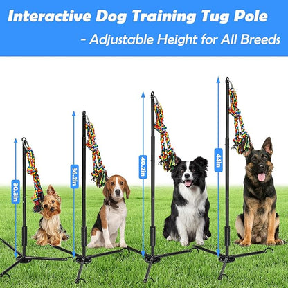 Tether Outdoor Dog Toy,Interactive Exercise Game in Yard Park Tug of War for Large Medium Small Dog Puppy with 2 Rope Toy and Bell Pull Chase and Solo Play