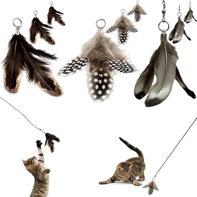 Cat Feather Toy Refill 9-Pack - Natural Feather Cat Toy - Small Size Cat Wand Attachments - Official Cat Toy Feather Replacement for Forever Stick Cat Wand Toy - Cat Wand Refill - Cat Lure and Teaser