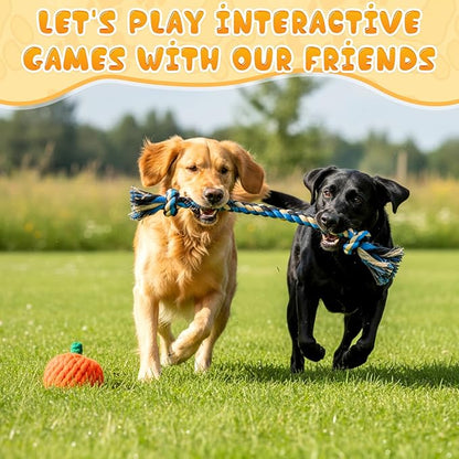 25 Pack Dog Rope Toys for Aggressive Chewers, Heavy Duty Teething Chew and Tug Toy Set for Medium and Large Dogs, Puppy Toys with Fun Fruit & Cartoon Shapes