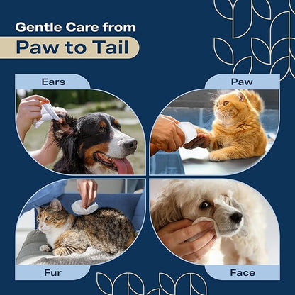 Dog Wipes for Paws and Butt - (Bulk 800 Wipes) - Plant Based Lavendar Scented, Pet Wipes for Dogs and Cats - Deodorizing Non Toxic Dog Wipes - 8 Packs of 100