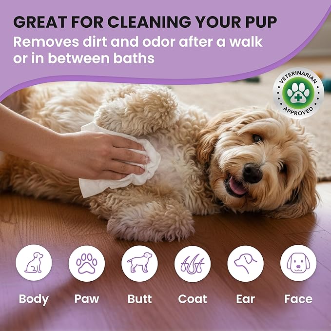 We Love Doodles Dog Wipes - Deodorizing & Cleaning Pet Wipes, for Coat, Face, Paws, Butt, & Body, Dog Essentials & Grooming Supplies, Made in USA, Lavender (100 Count)