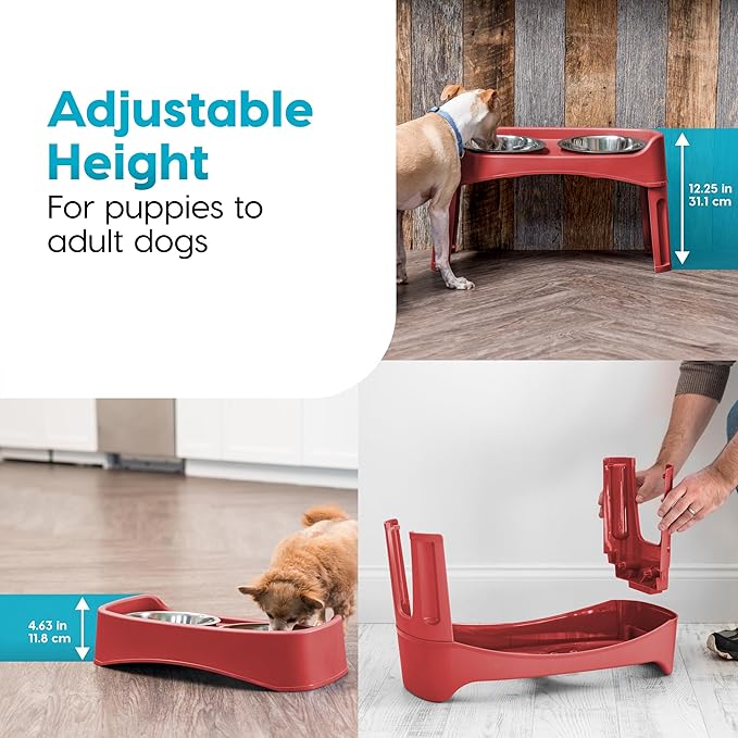 IRIS USA Adjustable Elevated Dog Bowls, Raised Feeder with 2 Stainless Steel 64 oz Bowls, Spill-Guard Rim, 12.25" or 4.63" Heights, Durable Plastic, Made in USA, Red