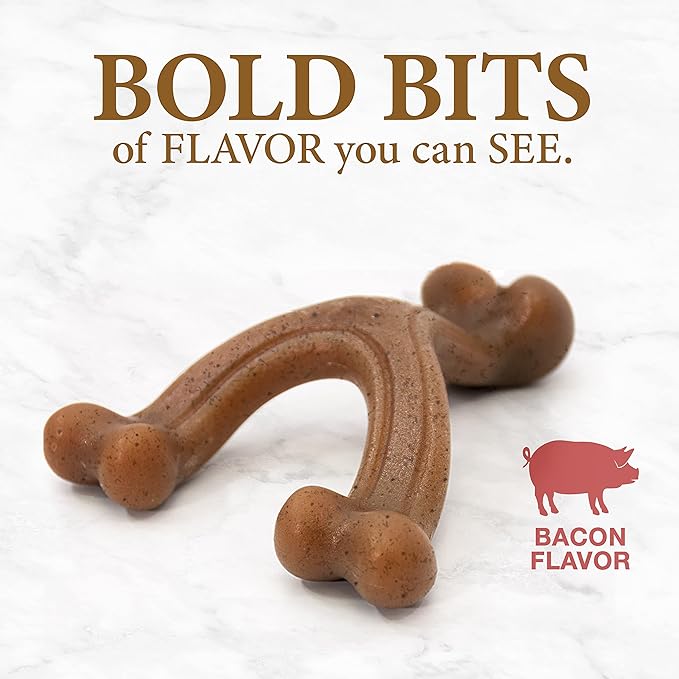 Nylabone Gourmet Style Wishbone Strong Chew Toy for Dogs, Bacon Flavor, Small - Up to 25 lbs, 1 Count