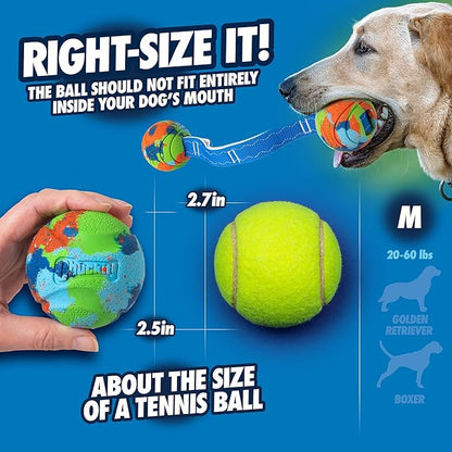 Chuckit! Limited Edition EcoFetch Ball Dog Toy, Medium (2.5 Inch Diameter) Pack of 3, for Breeds 20-60 lbs