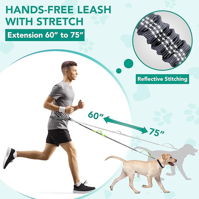 PetAmi Hands-Free Dog Leash for Walking, Running & Hiking, Heavy Duty Bungee Waist Leash with Dual Padded Handles, Adjustable Reflective Belt for Small, Medium & Large Dogs up to 150 lbs, Green