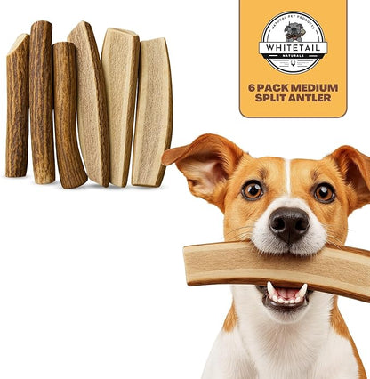 WhiteTail Naturals Premium Split Elk & Red Deer Antlers for Dogs (6 Pack) Naturally Shed Elk Antler Chews with Exposed Marrow – Safe & Mess-Free for Medium to Large Breeds