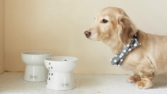 Necoichi Raised Dog Food Bowl, Elevated, for dogs and cats, pets feeding feeder Non-slip for small dogs Dishwasher and Microwave Safe, No.1 Seller in Japan! (Dog, Food Bowl)
