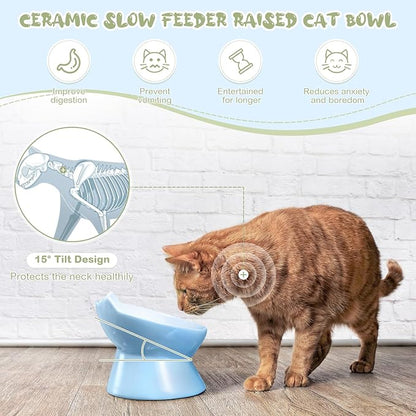 2 Pcs Ceramic Raised Slow Feeder Cat Bowl, 5.91inch Elevated Cat Slow Feeder Bowl Tilted Anti Vomiting for Dry Wet Food and Water Easy to Clean High Edge(Green, Blue)