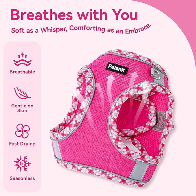 Petank Dog Harness for Small Medium Dogs No Pull, Puppy Harness and Leash Set for Walking, Running, Training, Small Dog Harness, Medium Dog Harness (Rose Red, L)