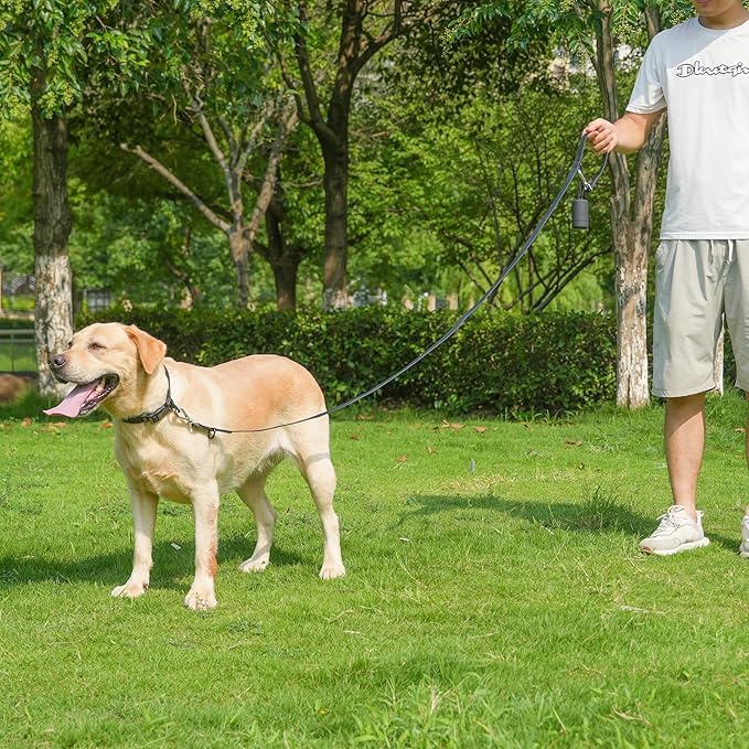 Waterproof Dog Leash with Poop Bag Holder, 5FT/6FT Adjustable Length with 2 Swivel Hooks, Odor-Free & Easy-Clean Dog Lead for Large Medium Small Dogs