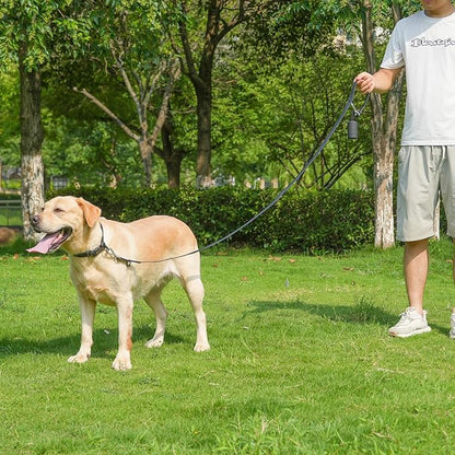 Waterproof Dog Leash with Poop Bag Holder, 5FT/6FT Adjustable Length with 2 Swivel Hooks, Odor-Free & Easy-Clean Dog Lead for Large Medium Small Dogs