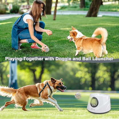 Dog Toy Balls 2.2 Inch, Indestructible Dogs Balls 6 Pack for Aggressive Chewers, Durable Interactive Toys for Small & Medium Puppy, Perfect for 2.2 Inch Automatic Dog Ball Launcher (ETPU Material)