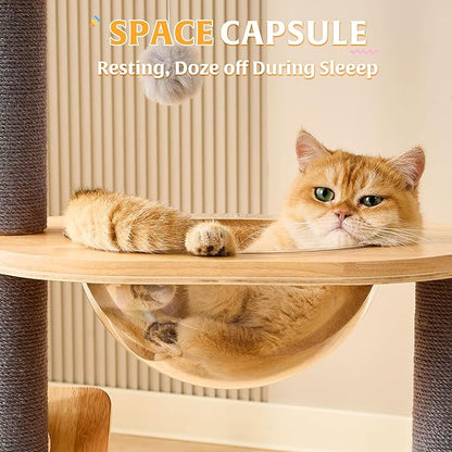 HITTITE Solid Wood Cat Tree Tower with Scratching Post, 37.8 Inches Tall Cat Towers with Scratching Board and Scratcher Ball, Modern Cat Tower With Space Capsule and Removable Top Bed for Indoor Cats.