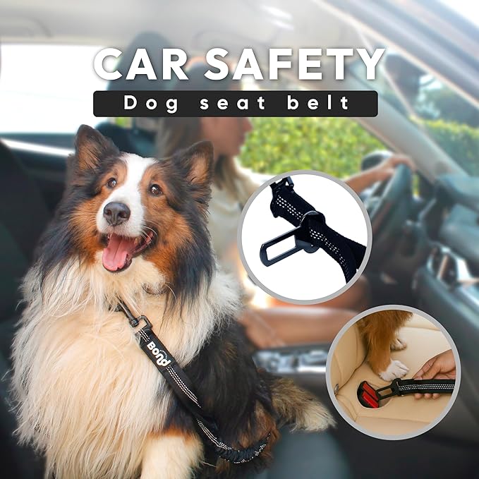 Bond Dog Running Leash Hands Free with Pouch, Hands Free Leash for Large Dogs, Pet Lead Running Belt for Walking & Canicross Belt, Includes Waist Jogging Fanny Pack & Pet Car Seat Belt Safety