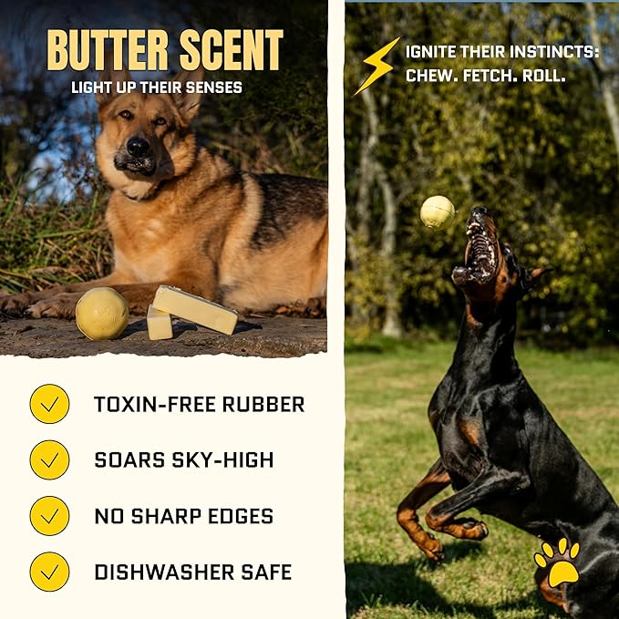 Virtually Indestructible Dog Ball - Lifetime Replacement - Tough Durable Chew Toy for Aggressive Chewers - Safe Non-Toxic Natural Rubber - Chew & Fetch - Med/Large Breed, 3"- Butter Scent