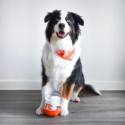 Nylabone Boop-N-Bobble Interactive Puzzle Toy & Treat Dispenser for Dogs, Mental Stimulating Dog Enrichment Toys, Treat Ball with 3 Customizable Challenge Levels