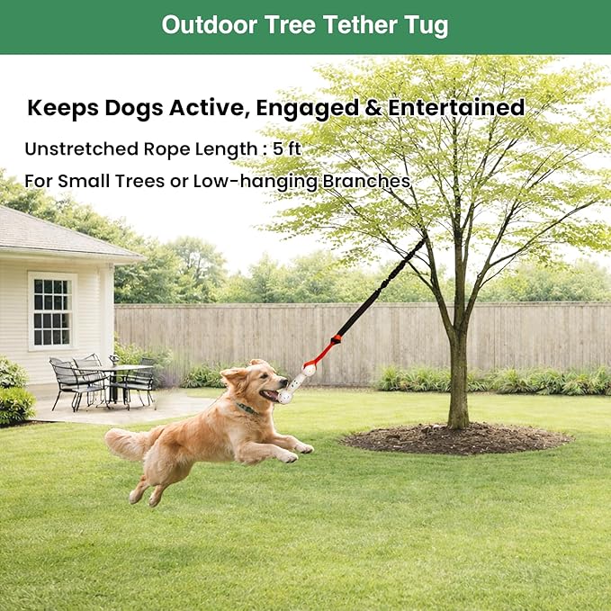 Bungee Dog Toy for Puppy Small Medium Dogs, Indoor Spring Pole Hang Over Door Frame, Outdoor Tether Rope for Yard Tree, Interactive Tug of War Pull Toy for Self Play Training Exercise