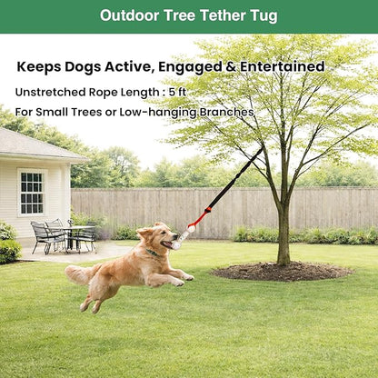 Bungee Dog Toy for Puppy Small Medium Dogs, Indoor Spring Pole Hang Over Door Frame, Outdoor Tether Rope for Yard Tree, Interactive Tug of War Pull Toy for Self Play Training Exercise