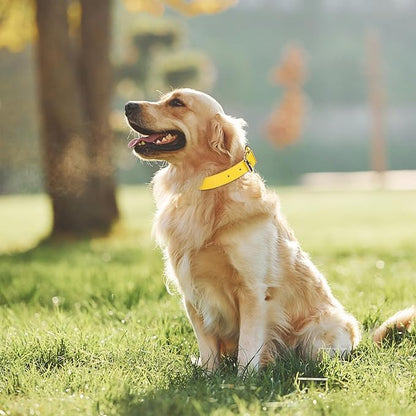 Yellow Leather Dog Collar for Small,Medium, Large Dog, (Wide: 0.95'' for Dog's Neck: 13''~18'', Yellow, L)