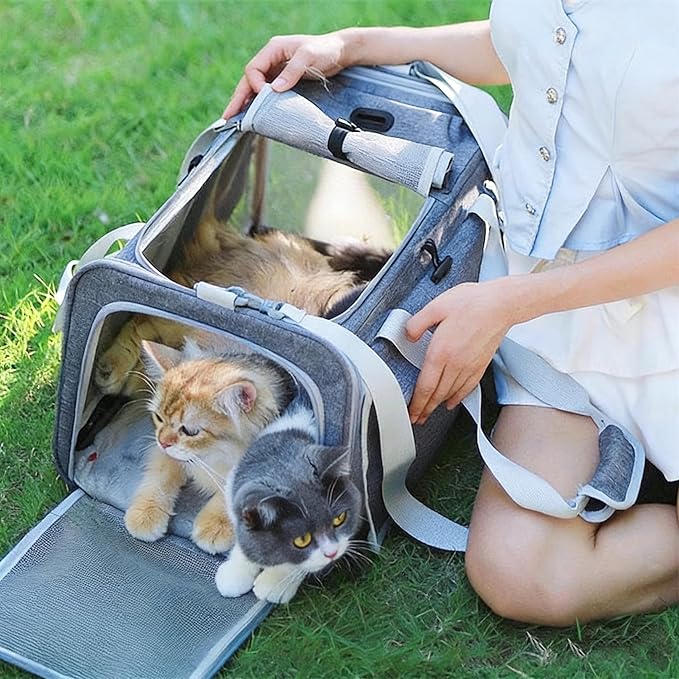 Pet Carrier Bag for Cats & Small Dogs, Airline Approved Travel Cat Carrier with Mesh Windows, Shoulder Strap & Removable Mat, Foldable Design for Home & Outdoor Trips (Grey)