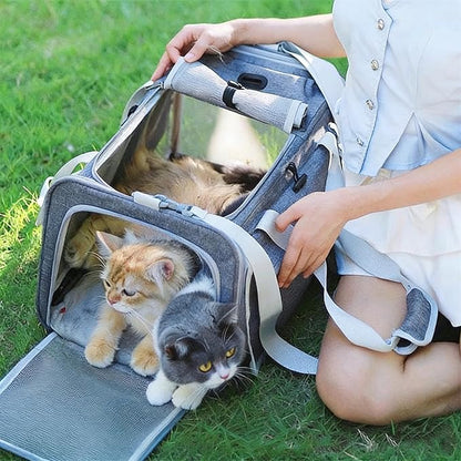 Pet Carrier Bag for Cats & Small Dogs, Airline Approved Travel Cat Carrier with Mesh Windows, Shoulder Strap & Removable Mat, Foldable Design for Home & Outdoor Trips (Grey)