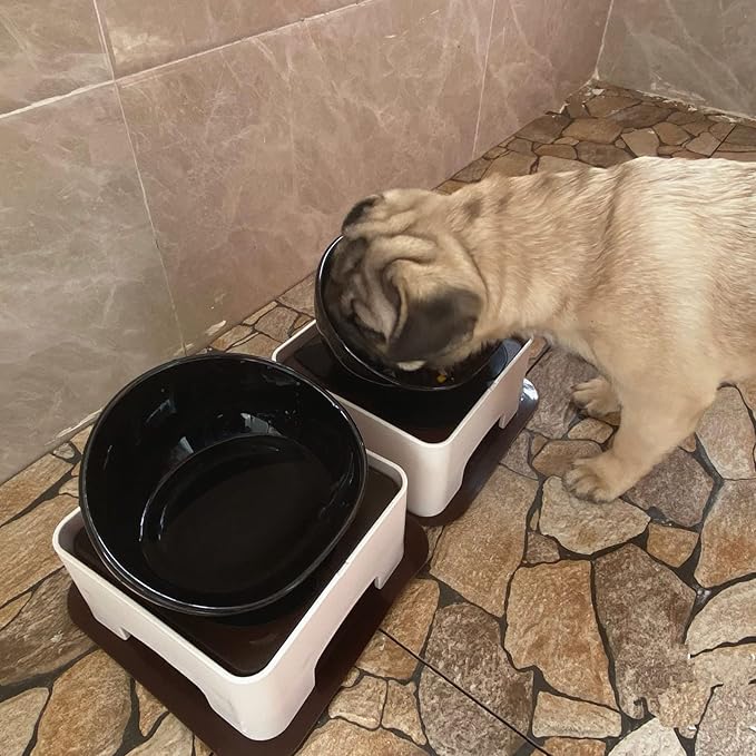 Ceramic Bulldog Bowl Dog Feeding Bowl - Dog Dish Wide Mouth Pet Sterile Tilted Pet Feeder with Anti-Skid Rubber Mat for Small Medium Dogs (Black)