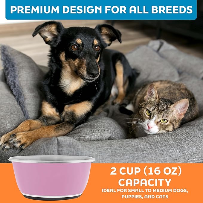 Master Pet Supply Stainless Steel Dog Bowls Set of 2 (16 Oz Each) with Non-Slip Rubber Base - Hyper Pink - Basic Dog Food Bowl Water & Food Bowls for Small Medium Large Dogs & Cats, Metal Dish