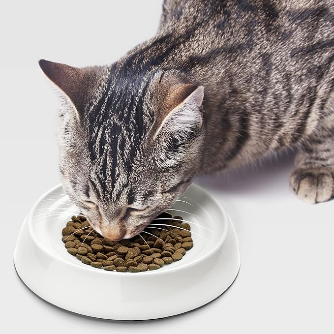 CatGuru Cat Bowls, Whisker Friendly Food Bowl for Indoor Cats, Reliefs Whisker Fatigue, Wide Kitten Dish, Non Slip Pet Dishes, Shallow Pet Plates (Marshmallow, (Pack of 2))