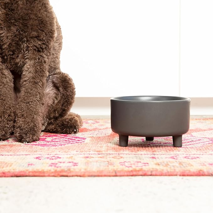 Waggo Uplift Ceramic Dog Bowl for Small Medium and Large Breeds - Set of 2 Heavyweight and Durable Pet Food and Water Dish Crock, Dishwasher Safe, Modern, Elevated Feeder (Black, Large)
