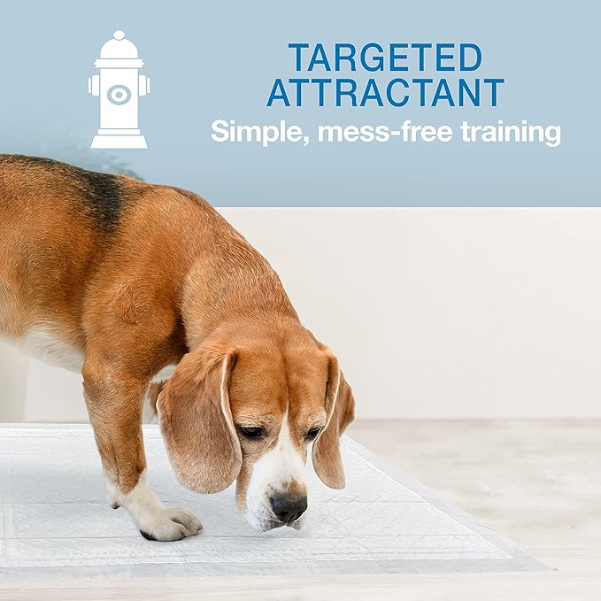 Four Paws Wee-Wee Super Absorbent Unscented Pee Pads for Dogs & Puppies with Insta-Rise Border, Leak-Proof Dog Housebreaking Potty Training Floor Protection, 22" x 23", 50 Count