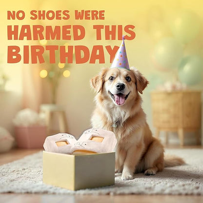 Shoe Parody Dog Toy – Funny Crinkle & Squeaky Dog Toys for Interactive Play and Training – Durable, Easy to Clean, Birthday Gifts for Small, Medium and Large Dogs