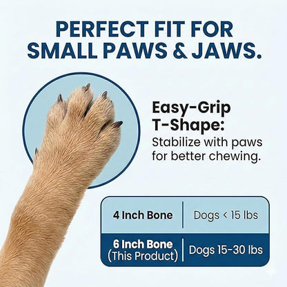 SPOT Bam-Bones Puppy T-Bone Dog Chew Toy, Chicken Flavor, 6 Inch, Bamboo Fiber & Flexible Rubber, Easy Grip Design for Gentle Chewers, Small Dogs & Puppies