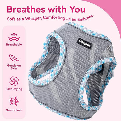 Petank Dog Harness for Small Medium Dogs No Pull, Puppy Harness and Leash Set for Walking, Running, Training, Small Dog Harness, Medium Dog Harness (Grey, XS)